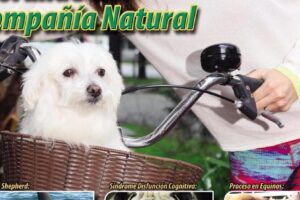 Hospital Veterinario Patricio Arturo Torres Guzman Empresa Individual De Respons