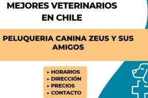 Peluqueria Canina Zeus y sus Amigos