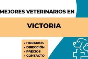 PetSur Centro Veterinario Victoria