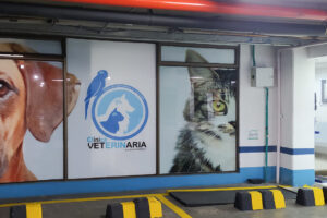 Posta Veterinaria Alerce