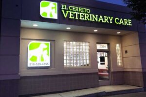 San Pablo Vet Clínic