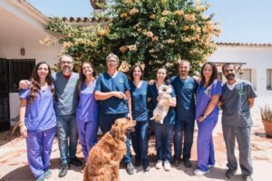 Servicios Veterinarios San Francisco