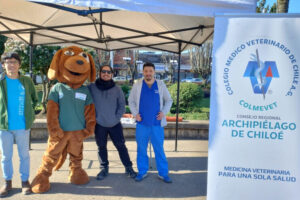 Vet Chiloé