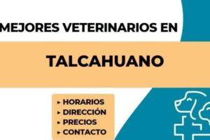 VETERINARIA ASIS, TALCAHUANO
