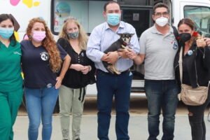 Veterinaria Iviinvet