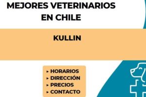 Veterinaria Kullin