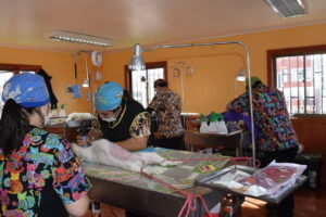 Veterinaria Lacustre Villarrica