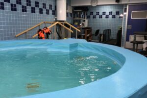 Veterinaria Los Angeles