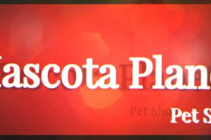 Veterinaria Mascota Planet, Puerto Montt