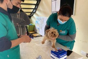 Veterinaría Mascotas Talcahuano