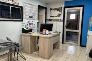 Veterinaria Perro Loco