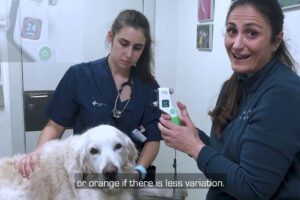 Veterinaria Pet’s Leiva