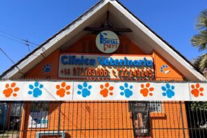 Veterinaria portal pet`s