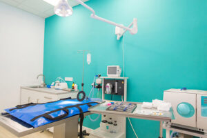 Veterinaria Puerta Sur