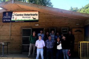 Veterinaria Riccipet