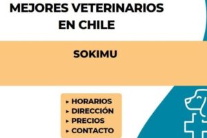 Veterinaria Sokimu