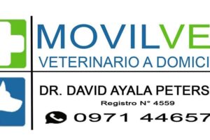 Veterinaria Villarrica