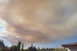 Vilma Cecilia Marta Echaiz Echaiz