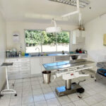 mejores veterinarias en Araucanía Chile